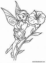 Coloring Pages Tinkerbell Silvermist Fairies Disney Fairy Printable Rosetta Color Ausmalbilder Drawing Adult Tinker Colouring Bell Zum Bilder Getdrawings Fee sketch template