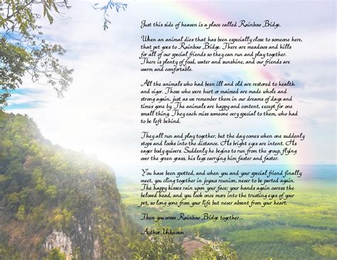 rainbow bridge  printable poem pet loss