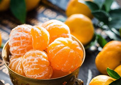 floridas tangy tangerines florida agriculture   classroom