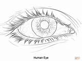 Coloring Pages People Eye Adults Printable Getdrawings sketch template