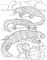 Lizard Lizards sketch template