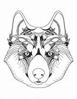 Loup Magnifique Tête Mindfulness Artherapie Loups Tete Coloring Cliquez Imprimez Gratuitement sketch template