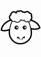 Schaap Kleurplaat Sheep Coloring Oveja sketch template