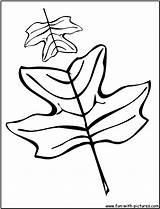 Tulip Coloring Tree Leaves Oak Poplar Clipart Pages 20coloring 20pages 20leaves Clipground Clipartpanda Fun Autumn Funny sketch template
