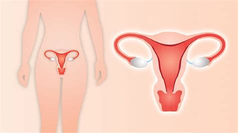 hormones replacement therapy after hysterectomy md