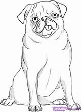 Pug Drawing Outline Draw Pugs Drawings Dog Sketches Step Sketch Animal Paintingvalley Animals Choose Board Pop sketch template