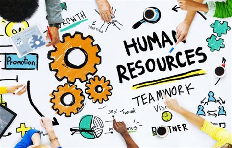 human resources top  tips  small business