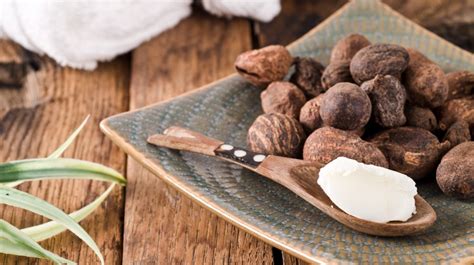 shea butter  benefits   products