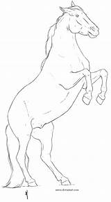 Horse Rearing Lineart Deviantart Horses Drawing Coloring Pages Colouring Drawings Head Front Base Adult På Login Choose Board sketch template