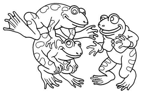 rainforest frogs coloring pages coloring pages