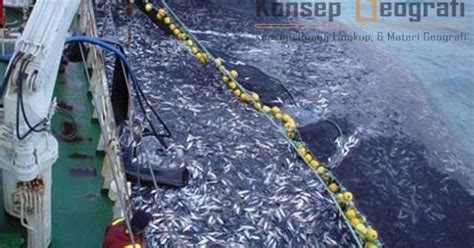 langkah langkah  mengatasi penangkapan ikan  berlebihan