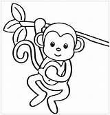 Monkeys Monkey Singe Colorier Singes Sympa Coloriages Justcolor sketch template