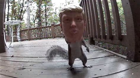 donald trump squirrel feeder youtube