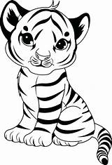 Tiger Coloring Pages Lion Color Printable Getcolorings Tigers Print sketch template