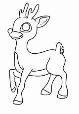 Reindeer Coloring Kids Pages Printable Animal Animalplace sketch template