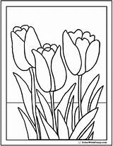 Coloring Tulip Pages Flower Tulips Printable Flowers Color Pdf Spring Printables Three Realistic Stained Glass Colorwithfuzzy Blossoms sketch template