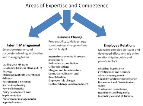 delta human resource consulting  areas  expertise