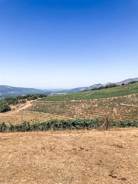 top  wineries  visit  californias wine country  wineries