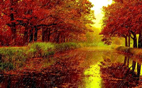 rainy day in the autumn season hd free wallpaper