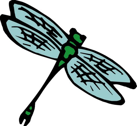 bug black and white clipart clip art library
