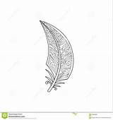 Feather Coloring Zentangle Vaned Vector Antistress Preview sketch template