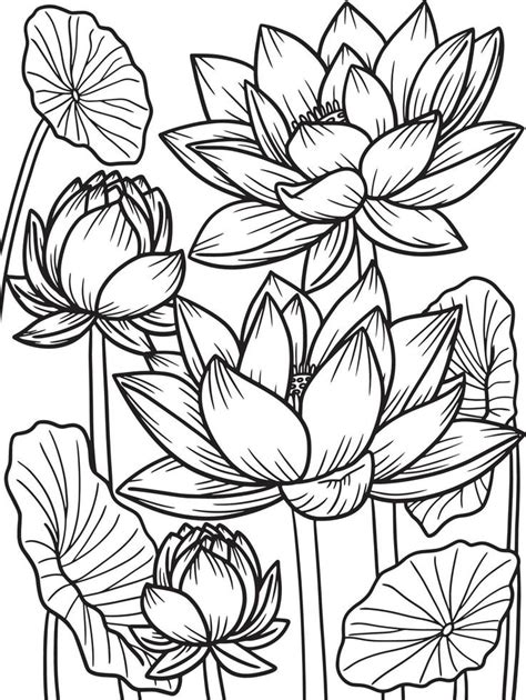 lotus flower coloring page  adults  vector art  vecteezy