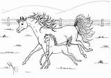 Horse Coloring Horses Baby Running Mother Pages Her Printable Realistic Animals Cute Draw Kids Netart Rearing Breyer Searches Worksheet Recent sketch template