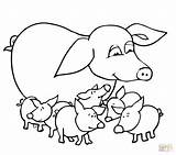 Pig Coloring Pages Pigs Baby Outline Mother Printable Guinea Color Colouring Realistic Piglet Drawing Pooh Winnie Clipart Pot Cute Kids sketch template