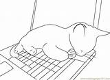 Coloring Cat Computer Sleeping Pages Kitty Template Cute Rocks Cats sketch template