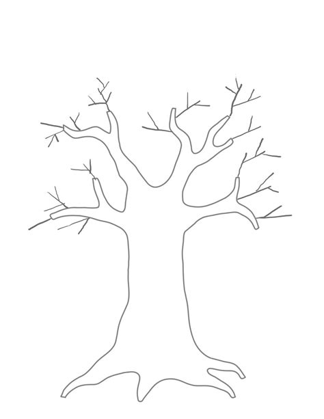 template  tree tree outline template printable