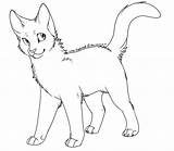 Cat Lineart Warrior Drawing Transparent Cats Coloring Outline Template Pages Line Warriors Drawings Kitten Clipart Google Clip Memes Use Fan sketch template