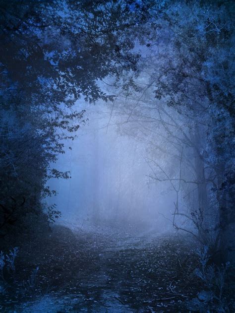 blue mist enchanted world pinterest