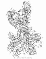 Coloring Pages Adult Peacock Grown Ups Sheets Animal Printable Textile Graphic Color sketch template