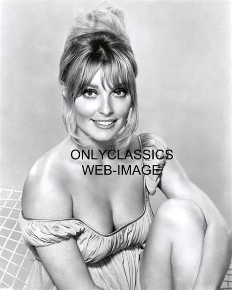 1965 sexy beauty sharon tate provocative pose photo pinup