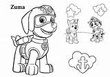 Coloring Patrol Pages Paw Chase Printable Zuma Kids Color Marshall Print sketch template