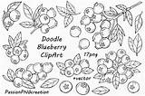 Blueberry Bilberry Doodles Digitale Whortleberry Zweige sketch template
