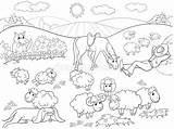 Kolorowanka Kolorowanki Pascoli Kleuren Hond Druku Farma Konik Owce Het Coloritura Fumetto Pastore Pecore Pasture Pasto Konie Vecteur Vectorillustratie Herder sketch template