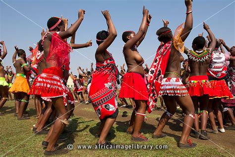 zulu reed dance girls whorey