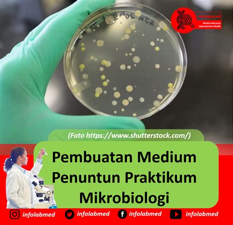 Pembuatan Medium Penuntun Praktikum Mikrobiologi