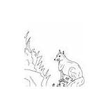 Crane Fox Story Pages Attachments Coloring sketch template