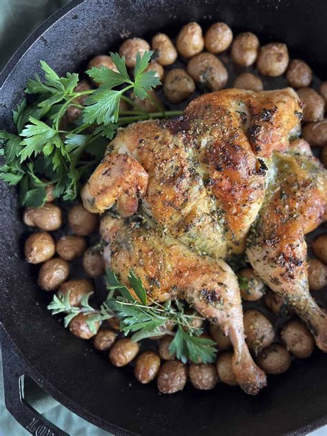 spatchcock garlic herb roast chicken  baby potatoes