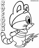 Raccoon Coloring Pages Baby Colorings Print sketch template