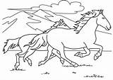 Cheval Chevaux Horses Trop Mignon Ordinateur Animaux Pinto Catégorie Coloringhome Getdrawings sketch template