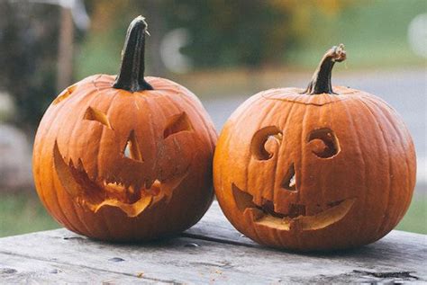 four reasons why christians are like pumpkins teen life