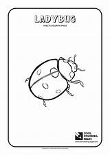 Coloring Ladybug Pages Insects Cool Print sketch template