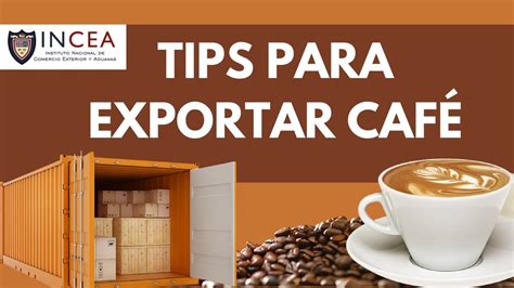 Tips Para Exportar Café Youtube