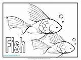 Coloring Pages Fish Animal Tuna Realistic Printable Slippery Wildlife Getcolorings Puffer Koi Worksheets Printouts Mazes Addition Colouring Library Clipart Color sketch template