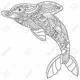 Coloring Pages Spirit Animal Dolphin Adult Zentangle Getdrawings Getcolorings Drawing Stress Color sketch template