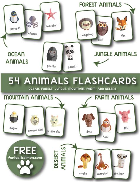 animal flashcards
