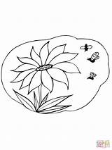 Girasole Bienen Nectar Supercoloring Ausmalbild Ispirazione sketch template